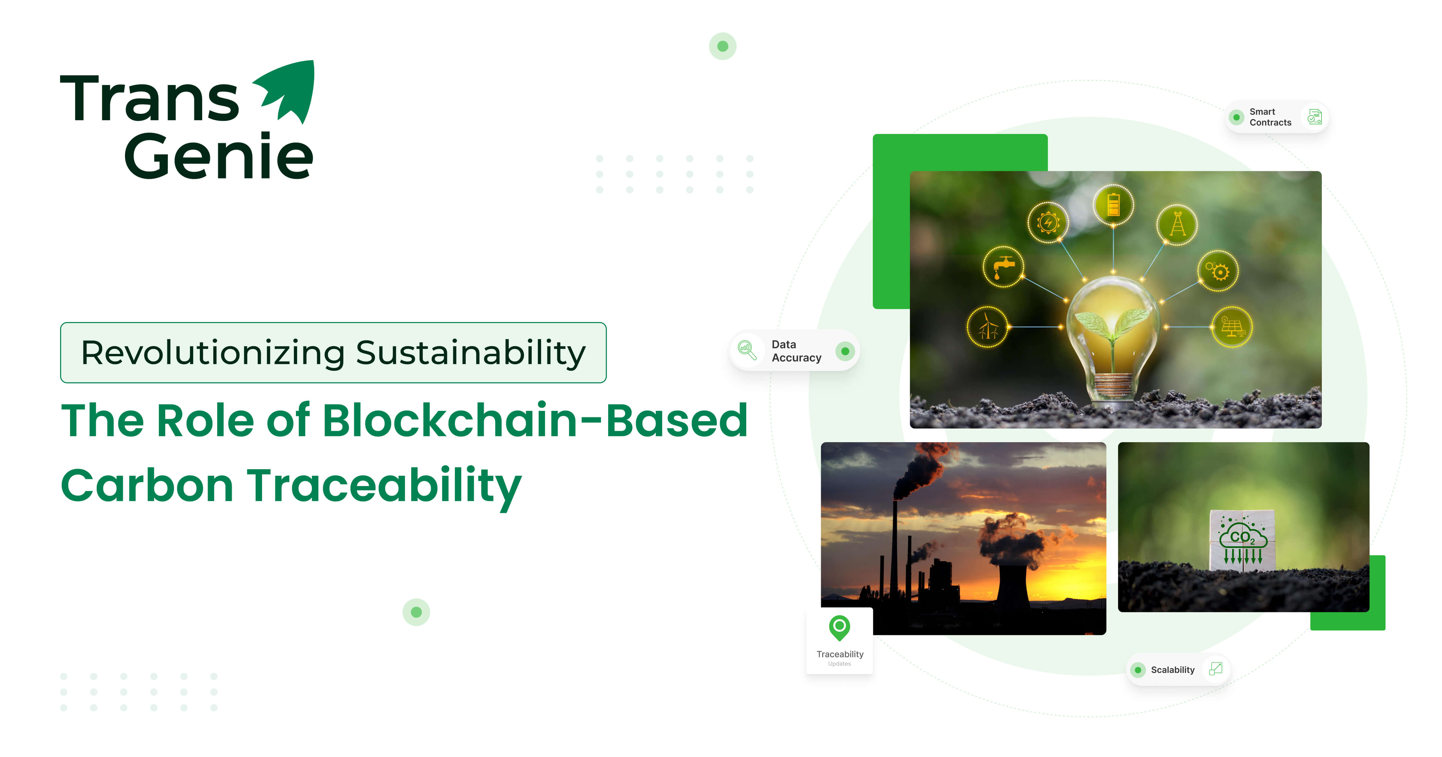 The Role of Blockchain-Based Carbon Traceability