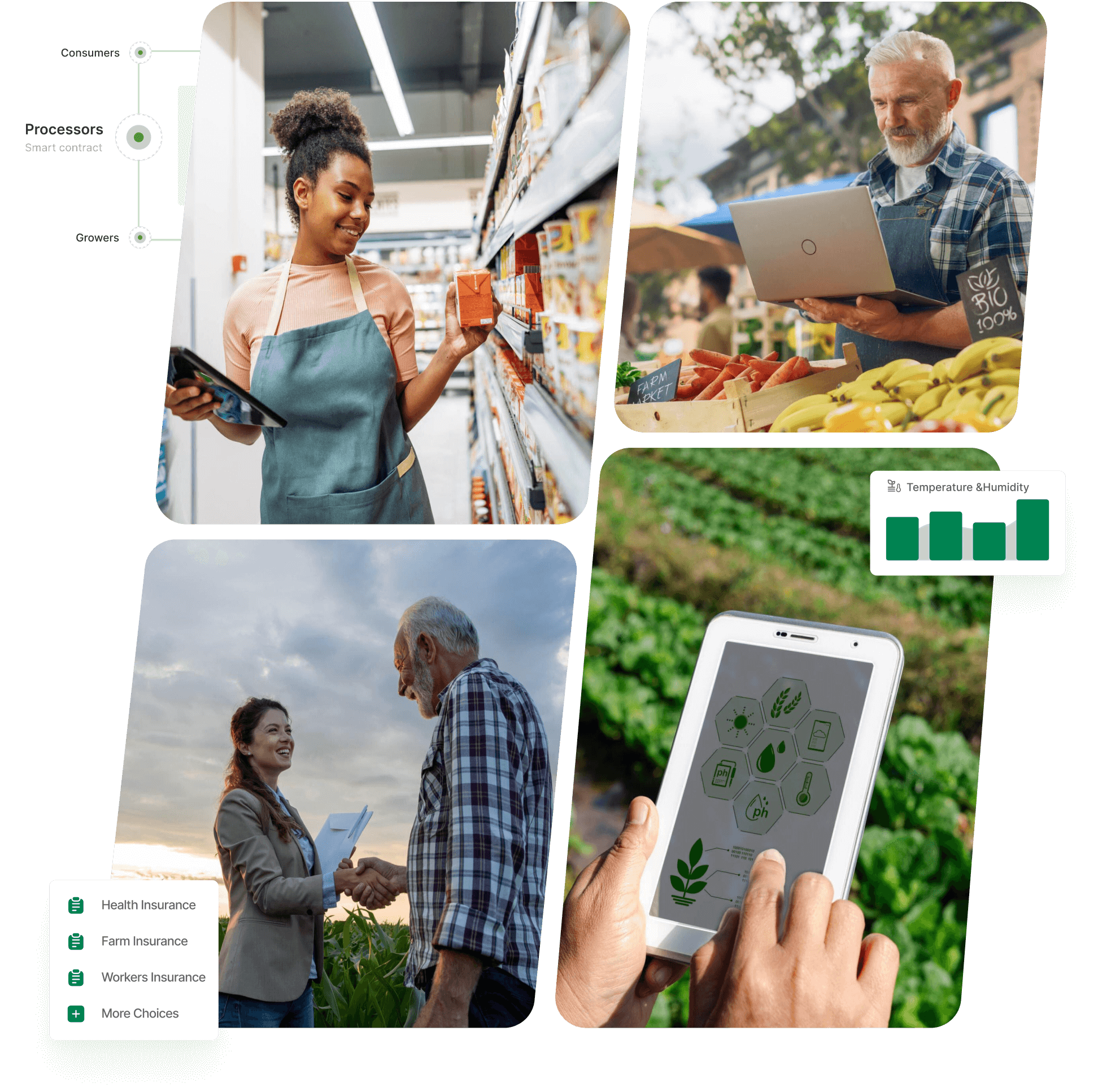 Harnessing Blockchain Technology in Agriculture