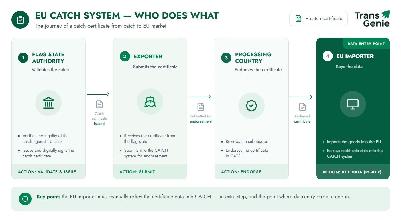 Who does what in the EU CATCH system: flag State authority validates, exporter submits, processing country authority endorses, EU importer keys the data