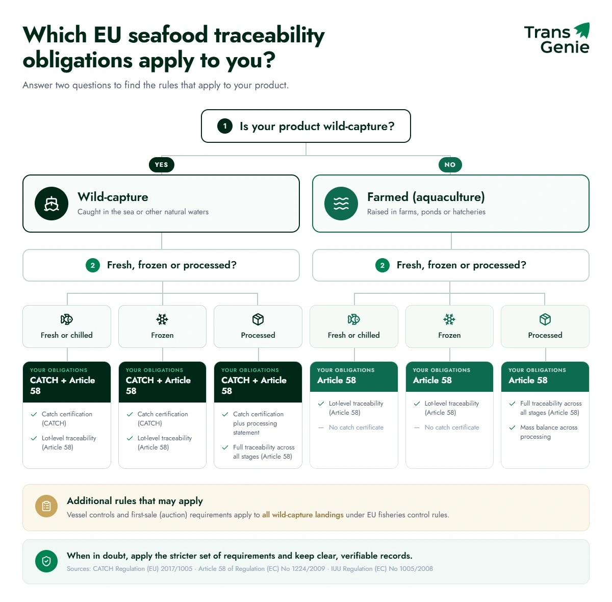 Decision flowchart showing which EU seafood traceability obligations apply based on whether product is wild-capture or farmed, fresh, frozen or processed