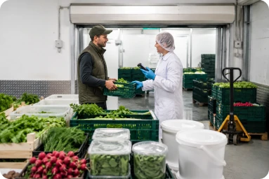 Supplier & Ingredient Intake