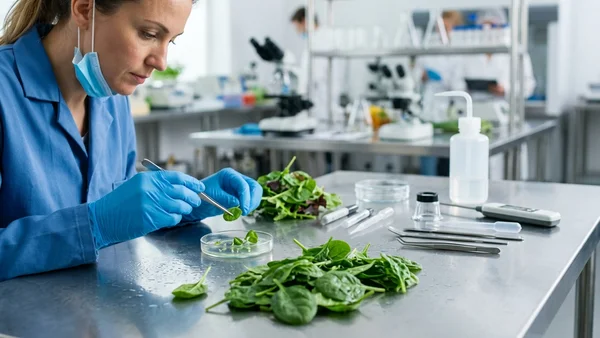 The Manual Tracking Problem in HACCP