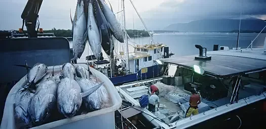 Record Every Catch - Catch & Source