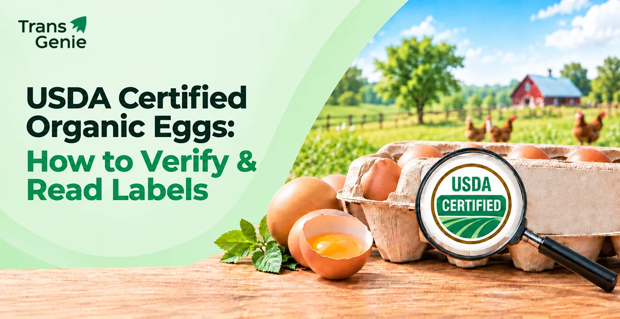 USDA Certified Organic & Humane Eggs: How to Read, Verify & Trust the Label